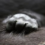 その生活はオス化まっしぐら！脱毛前に知っておこう！意外と知らないムダ毛とストレスの関係
